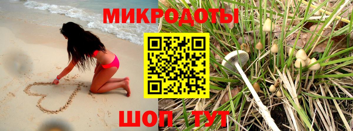Псилоцибиновые грибы Psilocybe Усолье-Сибирское