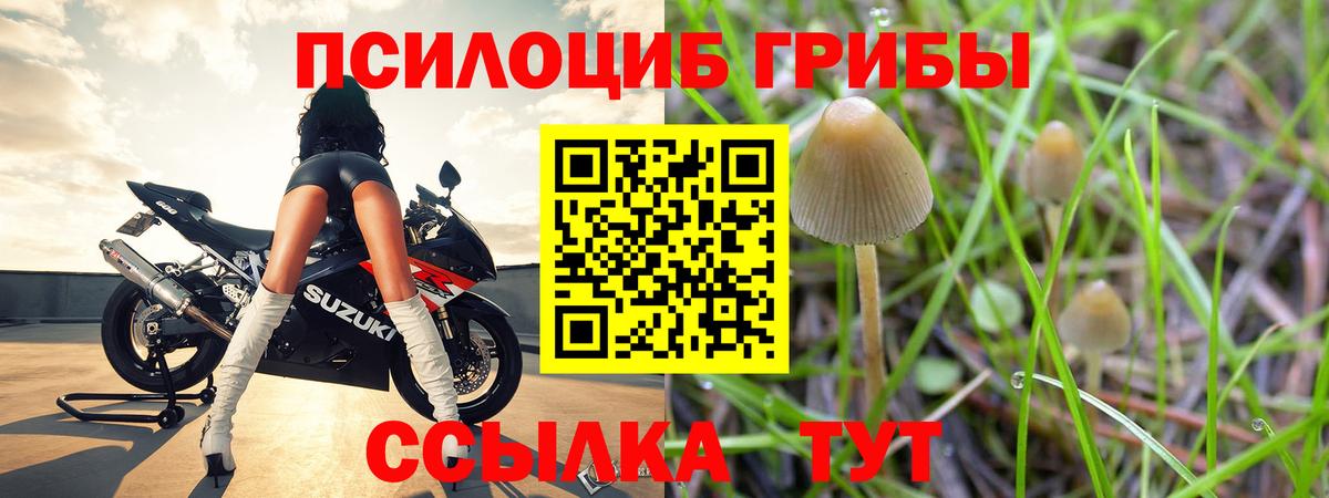 Псилоцибиновые грибы мухоморы  Вход с VPN  Усолье-Сибирское 
